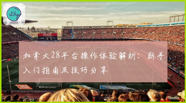 加拿大28平台操作体验解析：新手入门指南及技巧分享