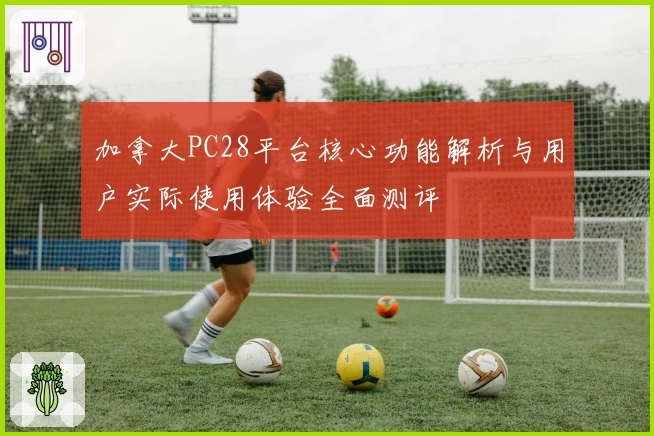 加拿大PC28平台核心功能解析与用户实际使用体验全面测评