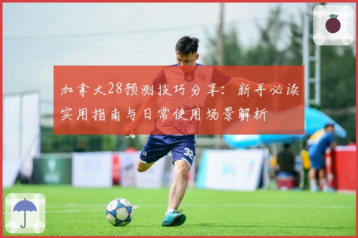 加拿大28预测技巧分享：新手必读实用指南与日常使用场景解析
