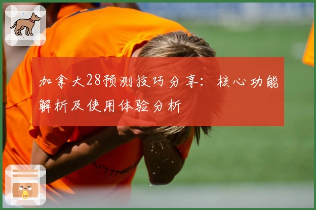 加拿大28预测技巧分享：核心功能解析及使用体验分析