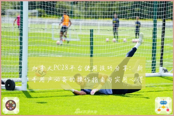 加拿大PC28平台使用技巧分享：新手用户必备的操作指南与实用心得解析