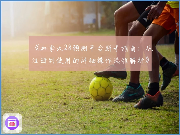 《加拿大28预测平台新手指南：从注册到使用的详细操作流程解析》