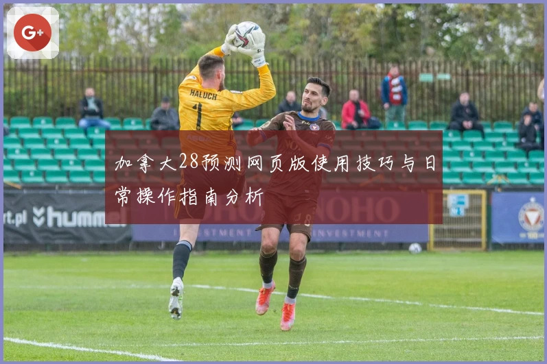 加拿大28预测网页版使用技巧与日常操作指南分析