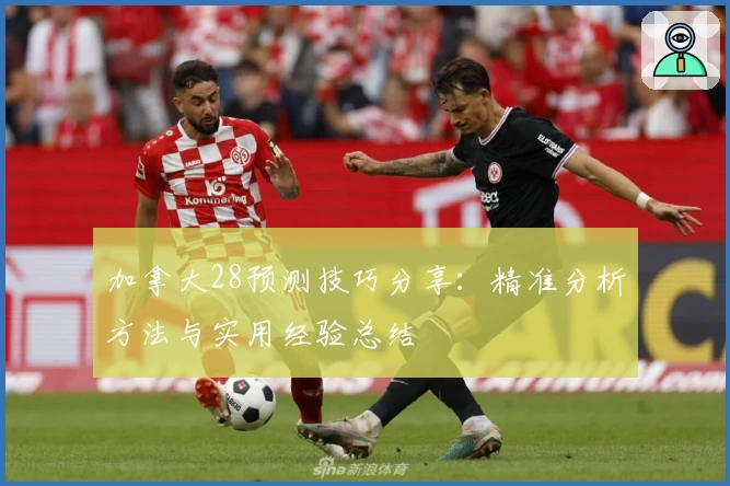加拿大28预测技巧分享：精准分析方法与实用经验总结