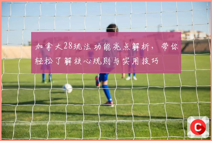 加拿大28玩法功能亮点解析，带你轻松了解核心规则与实用技巧