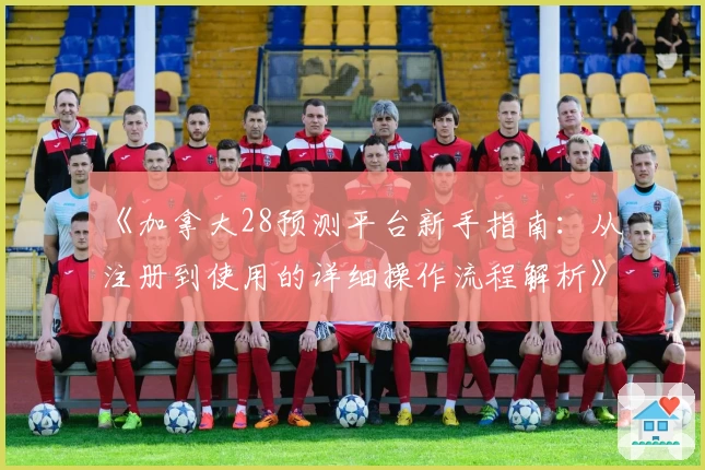 《加拿大28预测平台新手指南：从注册到使用的详细操作流程解析》