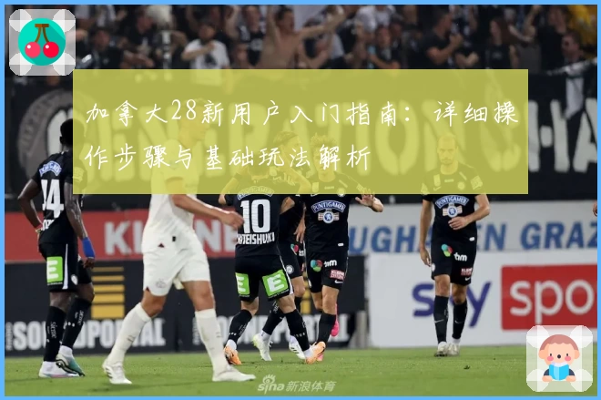 加拿大28新用户入门指南：详细操作步骤与基础玩法解析