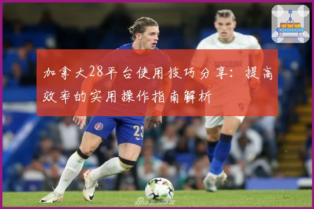 加拿大28平台使用技巧分享：提高效率的实用操作指南解析