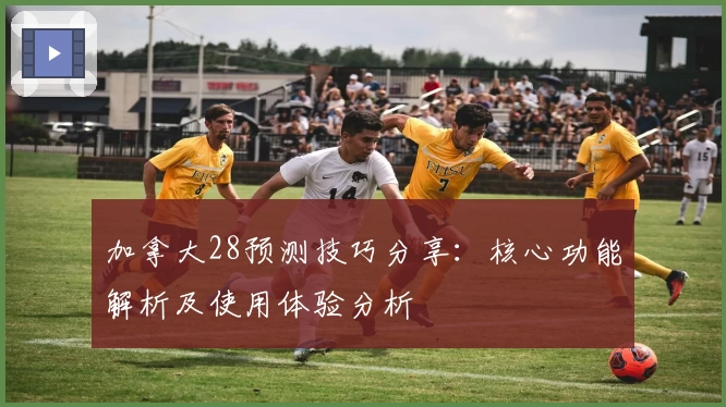 加拿大28预测技巧分享:核心功能解析及使用体验分析