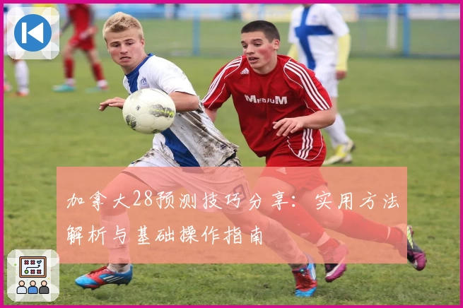 加拿大28预测技巧分享：实用方法解析与基础操作指南