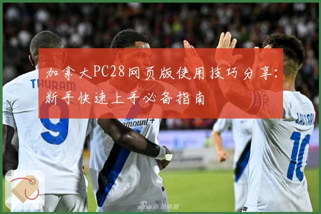 加拿大PC28网页版使用技巧分享：新手快速上手必备指南