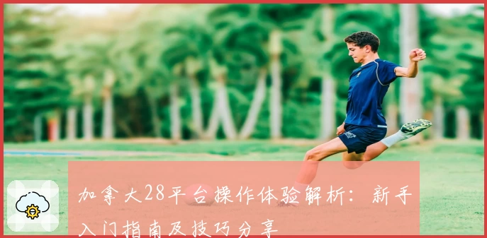 加拿大28平台操作体验解析：新手入门指南及技巧分享