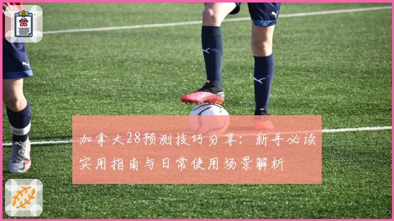 加拿大28预测技巧分享：新手必读实用指南与日常使用场景解析