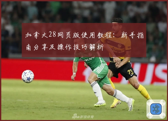 加拿大28网页版使用教程：新手指南分享及操作技巧解析