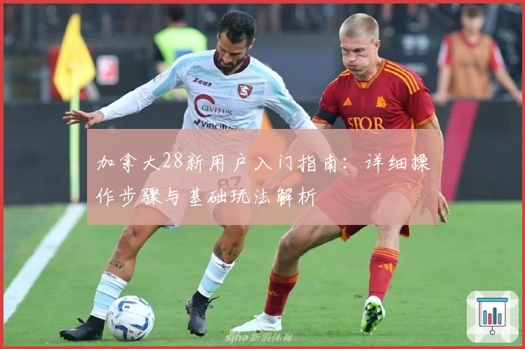 加拿大28新用户入门指南：详细操作步骤与基础玩法解析